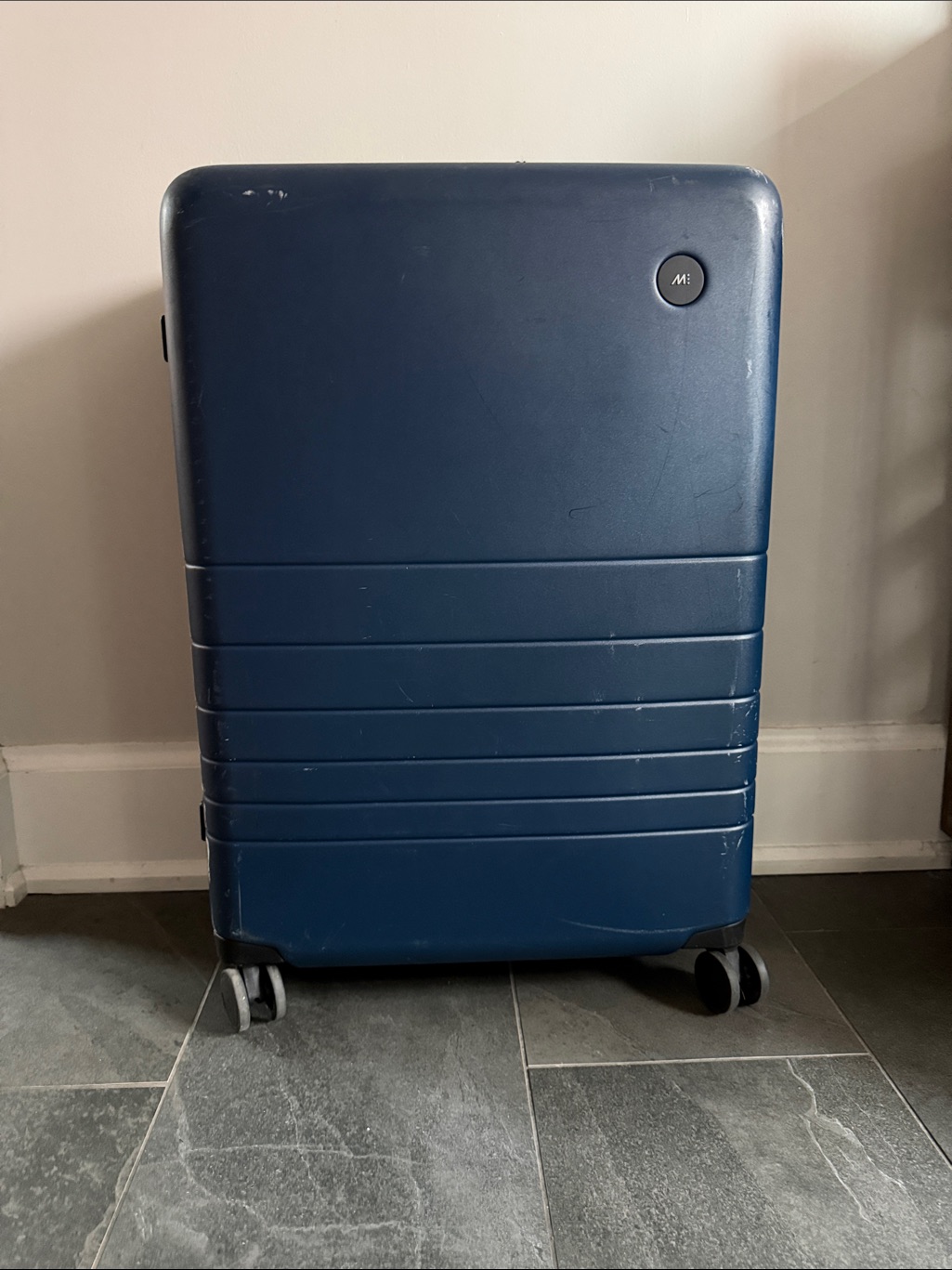 Monos Check-In Large Suitcase